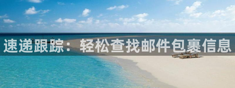 狗子28最稳打法：速递跟踪：轻松查找