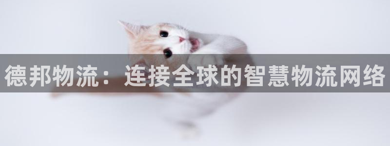 南宫狗子28官网版：德邦物流：连接全