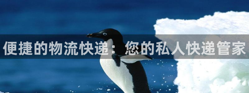 狗子28官网下载加拿大：便捷的物流快