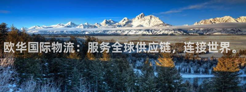 狗子28机器人是什么软件