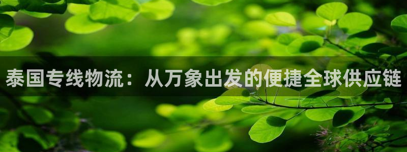 狗子28游戏官网版