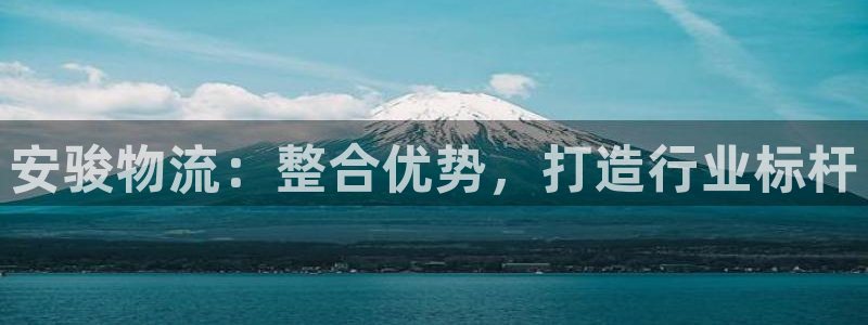 狗子28充值不到账什么原因：安骏物流