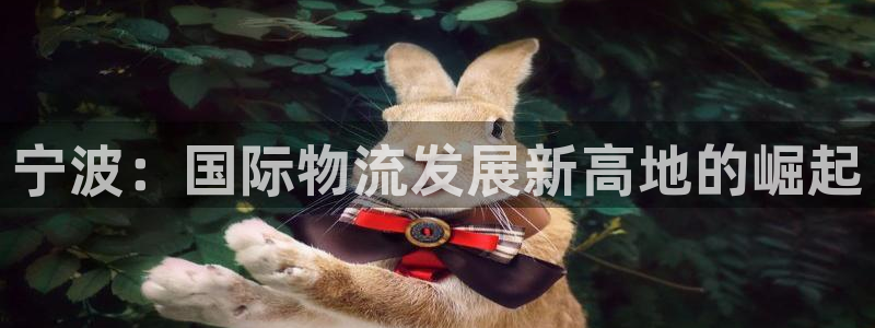 狗子28和南宫28什么关系