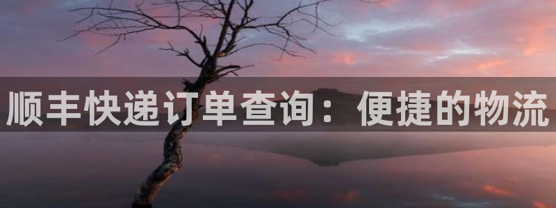狗子28注册账号：顺丰快递订单查询：便捷的物流