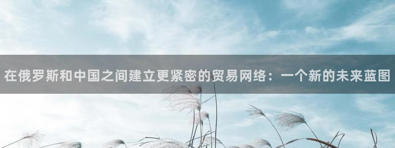 狗子28提现不到账：在俄罗斯和中国之