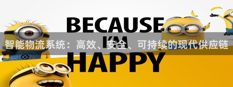 狗子28退款教程：智能物流系统：高效、安全、可持续的现代供应