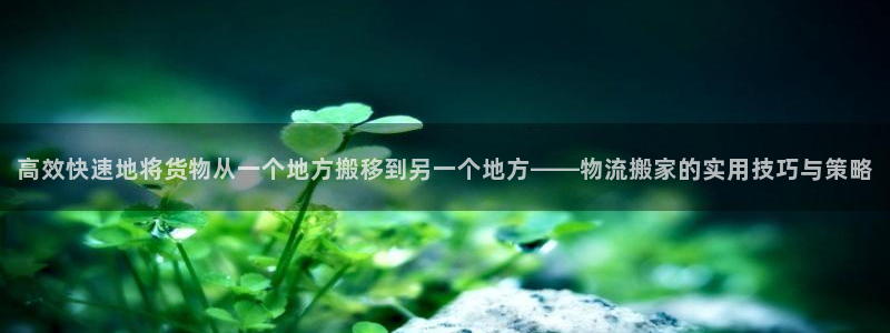 狗子28官网多少