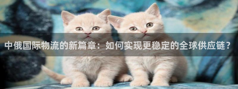 狗子28人头费：中俄国际物流的新篇章