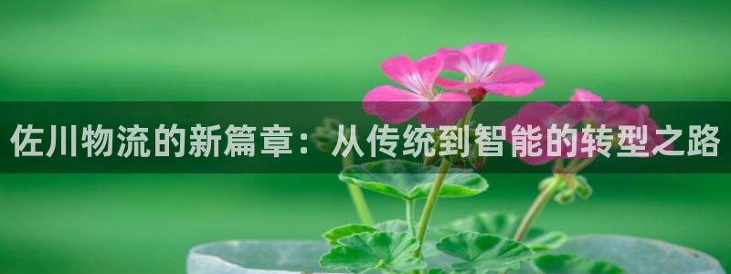 狗子28链官网：佐川物流的新篇章：从