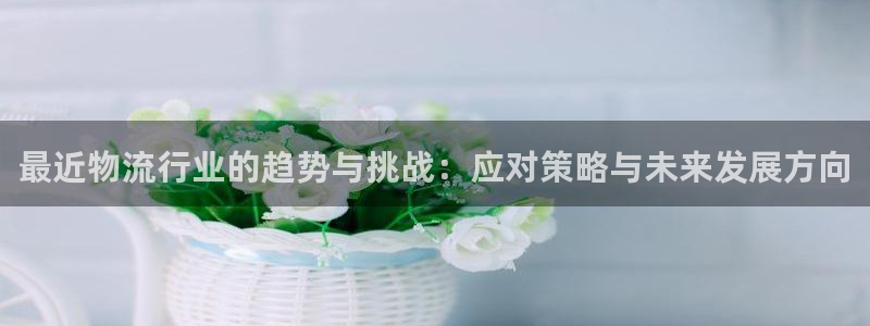 狗子28注册登录流程：最近物流行业的