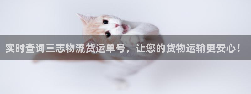 狗子28充值不处理会怎么样：实时查询三志物流货运单号，让您的