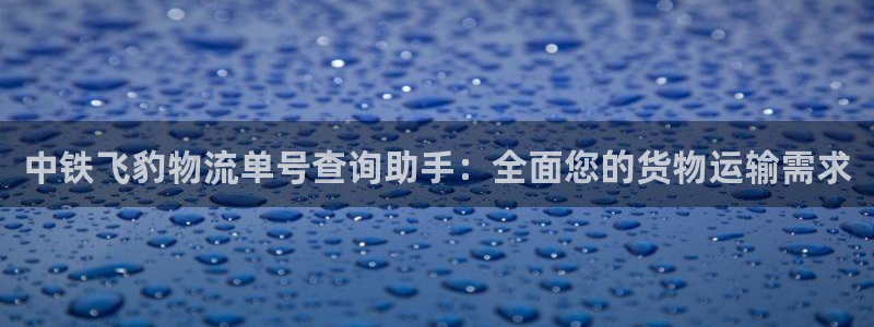 狗子28模拟器下载：中铁飞豹物流单号
