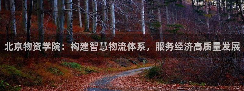 狗子28图片：北京物资学院：构建智慧物流体系，服务经济高质量