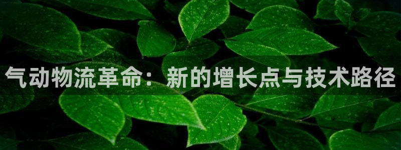 狗子28注册链接：气动物流革命：新的