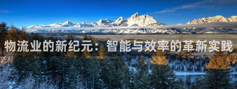 狗子28可以退款吗：物流业的新纪元：智能与效率的革新实践