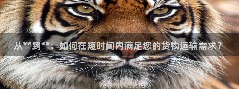 狗子28连接：从**到**：如何在短