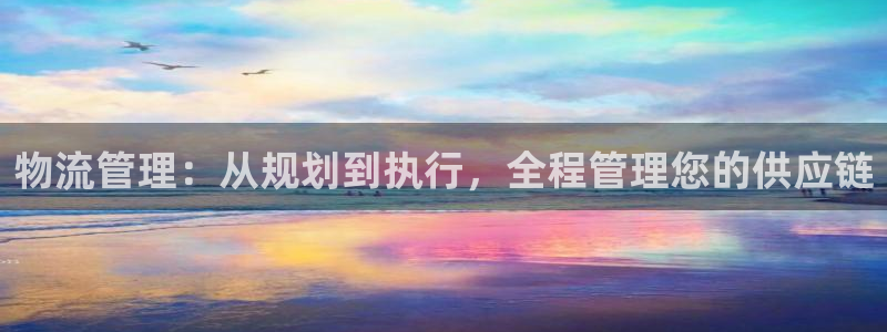 狗子28激活码：物流管理：从规划到执