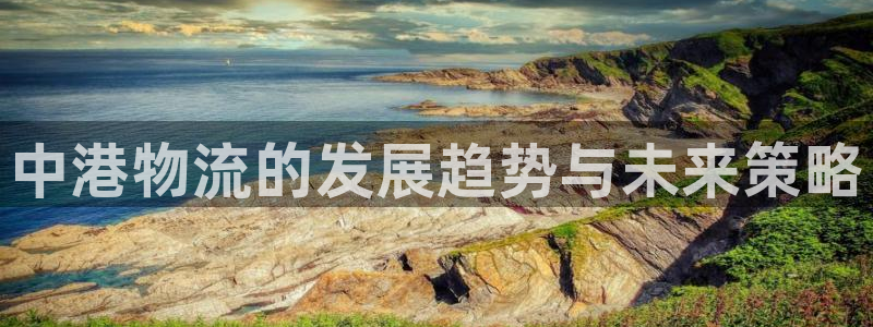 狗子28电子游戏：中港物流的发展趋势与未来策略