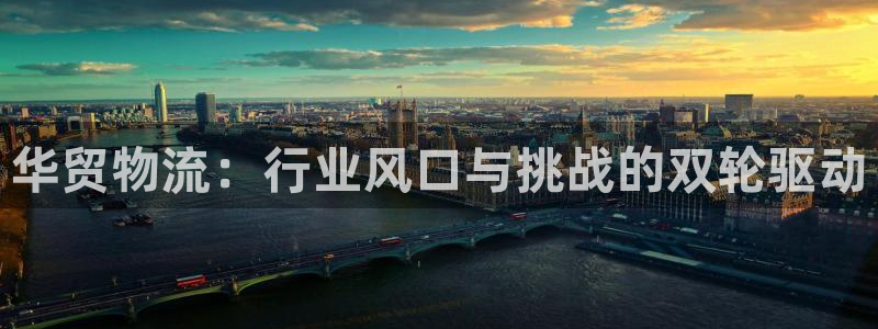 狗子28系统自动保护：华贸物流：行业风口与挑战的双轮驱动