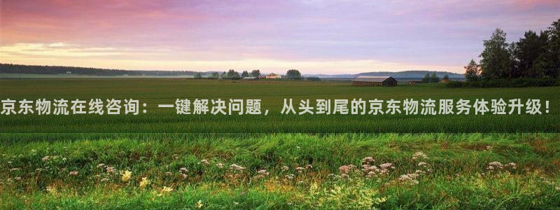 狗子28模拟：京东物流在线咨询：一键