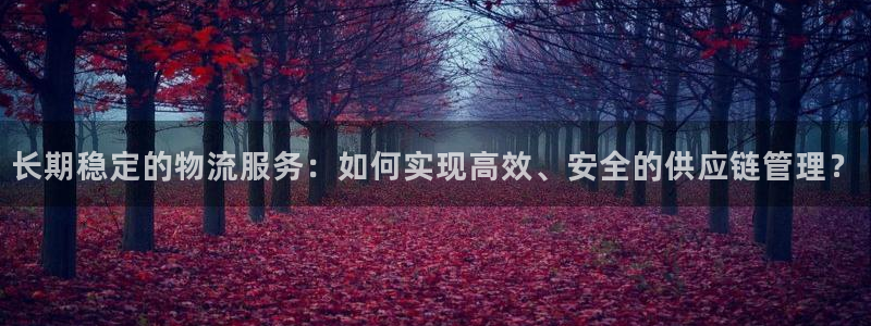 狗子28提款一直没到：长期稳定的物流服务：如何实现高效、安全