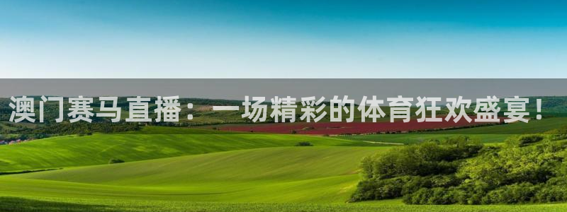 飞速直播nba无插件：澳门赛马直播：一场精彩的体育狂欢盛宴！