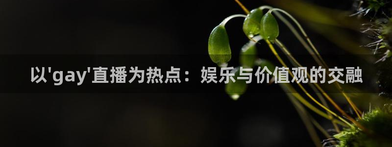 飞速直播nba无插件直播：以\'gay\'直播为热点：娱乐与价值观的交融