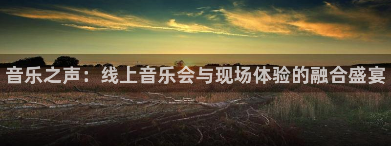 飞速直播足球直播nba直播吧：音乐之声：线上音乐会与现场体验的融合盛宴