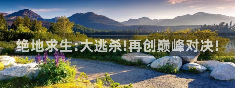 飞速直播体育篮球：绝地求生:大逃杀!再创巅峰对决!