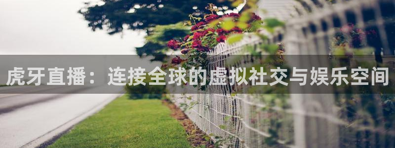 极速飞速体育直播吧体育直播：虎牙直播：连接全球的虚拟社交与娱乐空间