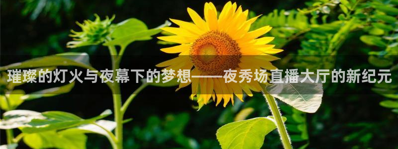 nba飞速直播无插件：璀璨的灯火与夜幕下的梦想——夜秀场直播大厅的新纪元
