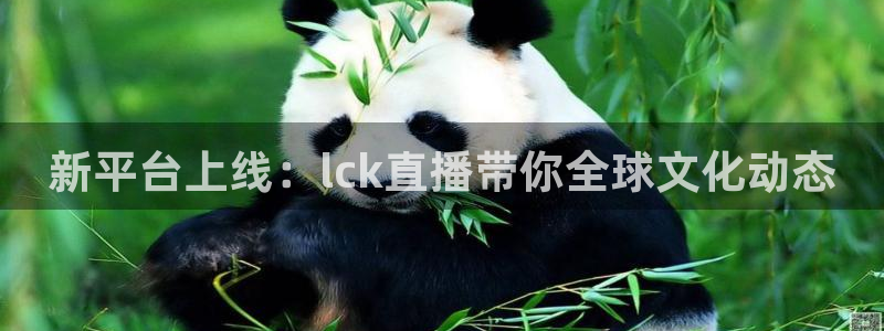 nba飞速直播：新平台上线：lck直播带你全球文化动态