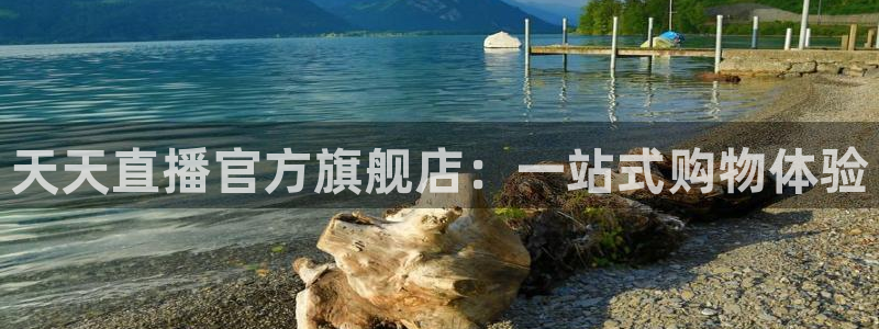 高速飞速体育直播：天天直播官方旗舰店：一站式购物体验
