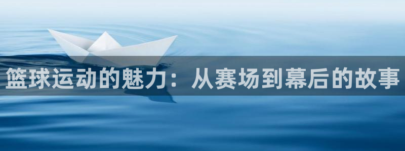 飞速直播足球比赛：篮球运动的魅力：从赛场到幕后的故事