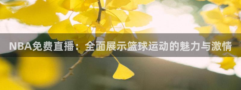 飞速体育nba直播吧：NBA免费直播：全面展示篮球运动的魅力与激情