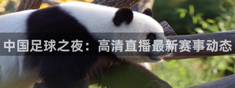 飞速直播直播：中国足球之夜：高清直播最新赛事动态