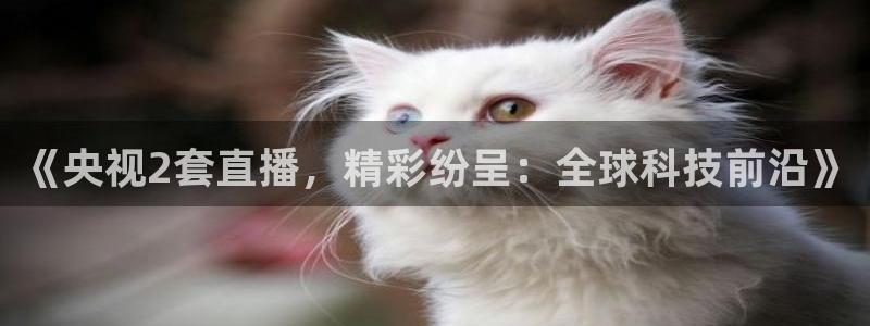 飞速直播nba体育直播：《央视2套直播，精彩纷呈：全球科技前沿》
