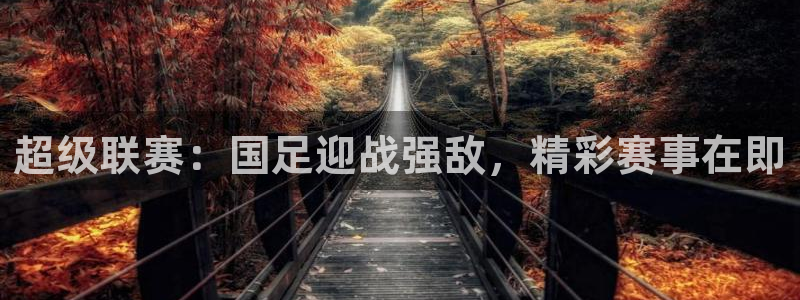 飞速免费直播nba