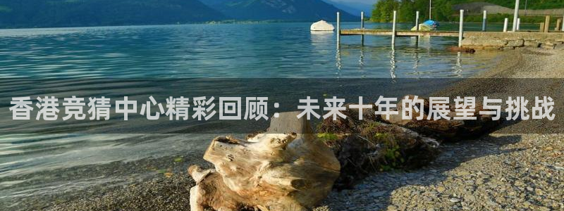 飞速体育直播全面更新升级.网站玩.org：香港竞猜中心精彩回顾：未来十年的展望与挑战