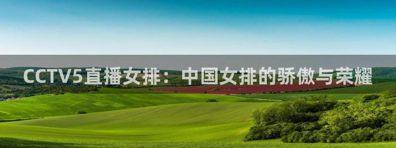 飞速直播体育nba在线直播：CCTV5直播女排：中国女排的骄傲与荣耀