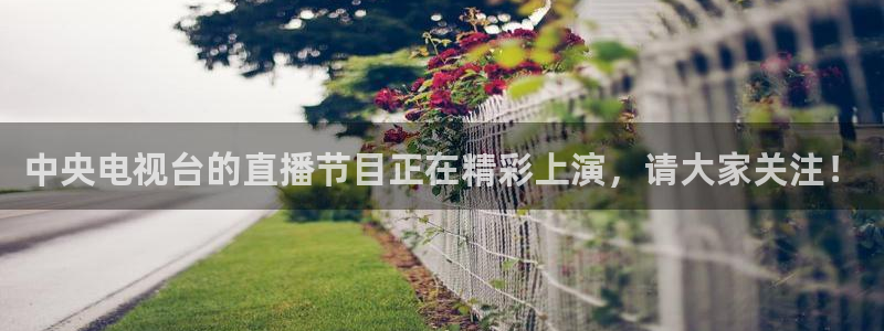 飞速直播体育app：中央电视台的直播节目正在精彩上演，请大家关注！