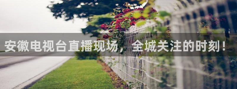 飞速体育在线直播：安徽电视台直播现场，全城关注的时刻！