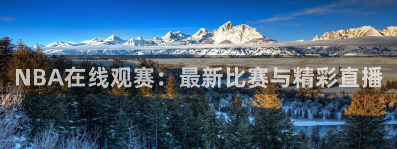 飞速体育直播\'：NBA在线观赛：最新比赛与精彩直播