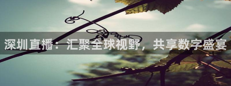 飞速免费直播nba：深圳直播：汇聚全球视野，共享数字盛宴